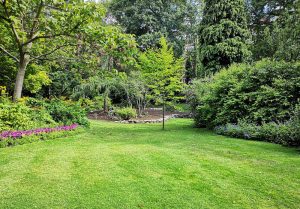 Optimiser l'expérience du jardin à Aurimont